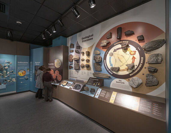Science Gallery Exhibit Design