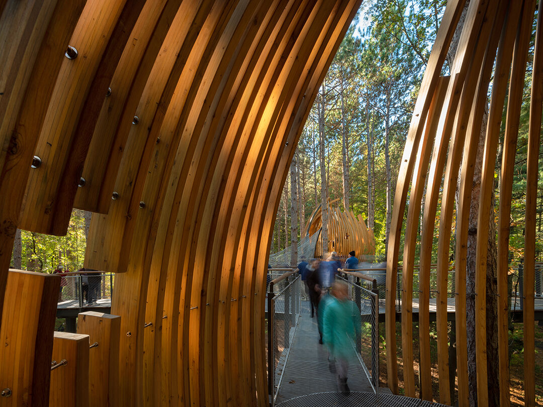 Dow Whiting Forest inside pod by Nic Lehoux